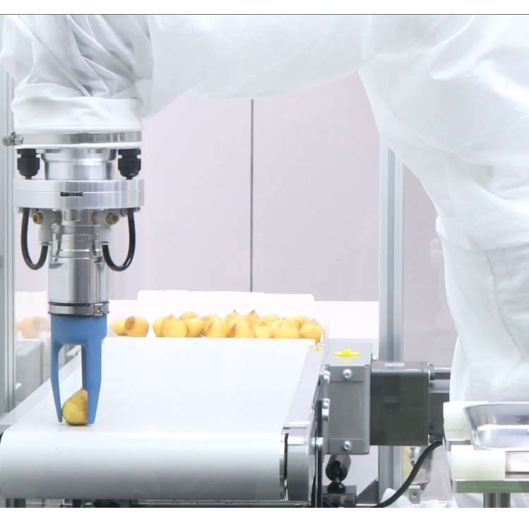 6-Axis CNC Robotic Arm with Li - огляд і ціна Linear Rail